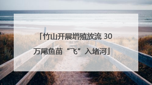 竹山开展增殖放流 30万尾鱼苗“飞”入堵河