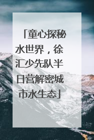 童心探秘水世界，徐汇少先队半日营解密城市水生态