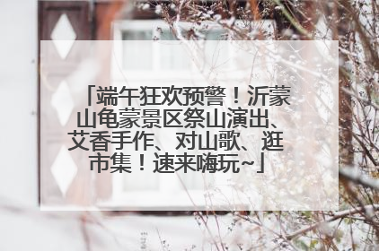 端午狂欢预警！沂蒙山龟蒙景区祭山演出、艾香手作、对山歌、逛市集！速来嗨玩~