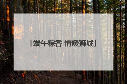 端午粽香 情暖狮城