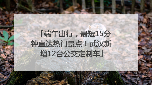 端午出行，最短15分钟直达热门景点！武汉新增12台公交定制车