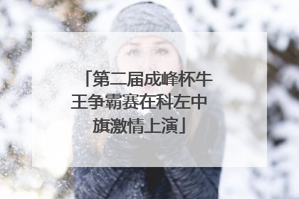 第二届成峰杯牛王争霸赛在科左中旗激情上演