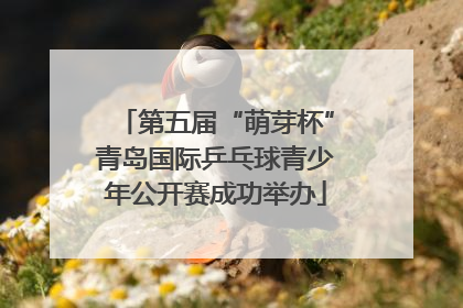第五届“萌芽杯”青岛国际乒乓球青少年公开赛成功举办