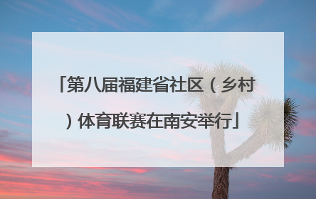 第八届福建省社区（乡村）体育联赛在南安举行