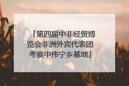 第四届中非经贸博览会非洲外宾代表团考察中伟宁乡基地