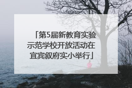 第5届新教育实验示范学校开放活动在宜宾叙府实小举行