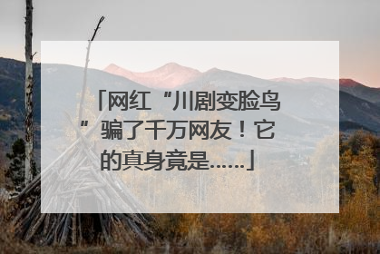 网红“川剧变脸鸟”骗了千万网友！它的真身竟是……