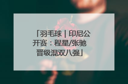 羽毛球｜印尼公开赛：程星/张驰晋级混双八强