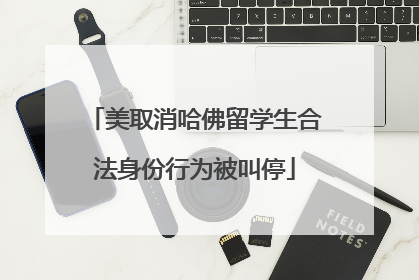 美取消哈佛留学生合法身份行为被叫停