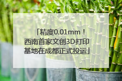精度0.01mm！西南首家文创3D打印基地在成都正式投运