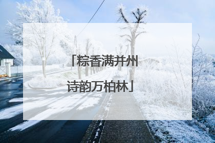 粽香满并州 诗韵万柏林