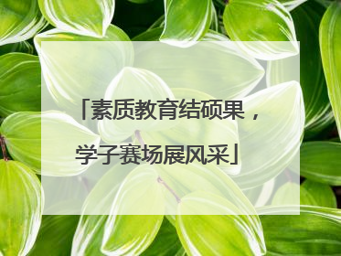 素质教育结硕果，学子赛场展风采