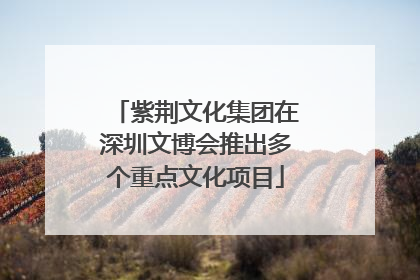 紫荆文化集团在深圳文博会推出多个重点文化项目