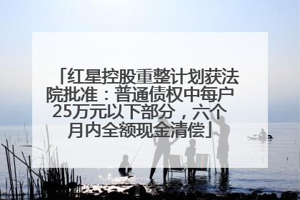 红星控股重整计划获法院批准：普通债权中每户25万元以下部分，六个月内全额现金清偿