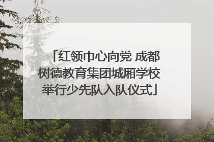 红领巾心向党 成都树德教育集团城厢学校举行少先队入队仪式