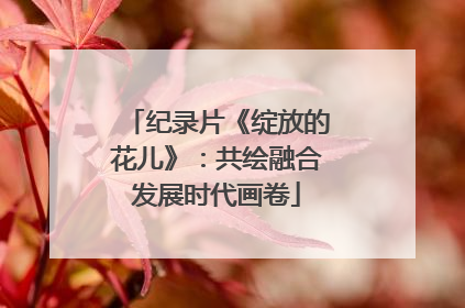 纪录片《绽放的花儿》：共绘融合发展时代画卷