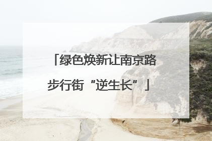绿色焕新让南京路步行街“逆生长”