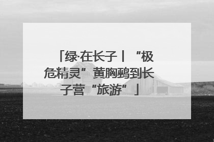 绿·在长子丨“极危精灵”黄胸鹀到长子营“旅游”
