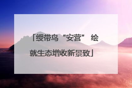 绶带鸟“安营” 绘就生态增收新景致