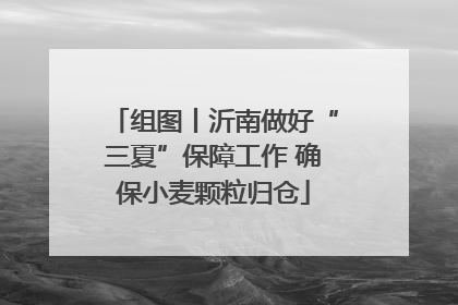 组图丨沂南做好“三夏”保障工作 确保小麦颗粒归仓
