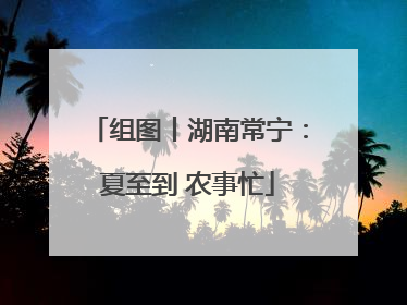 组图丨湖南常宁：夏至到 农事忙