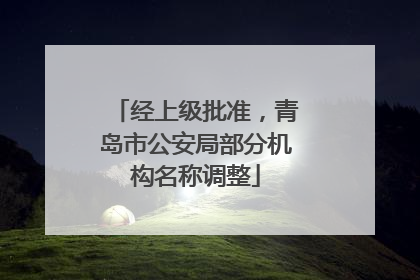 经上级批准，青岛市公安局部分机构名称调整