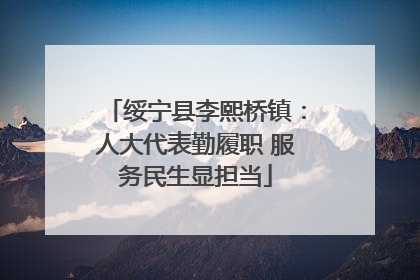 绥宁县李熙桥镇：人大代表勤履职 服务民生显担当