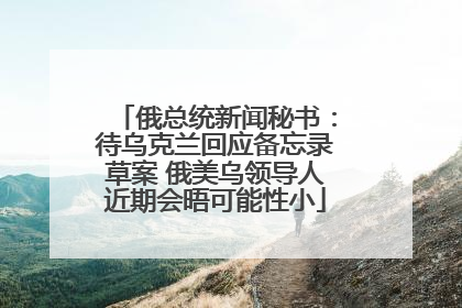 俄总统新闻秘书：待乌克兰回应备忘录草案 俄美乌领导人近期会晤可能性小