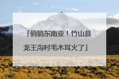 俏销东南亚！竹山县龙王沟村毛木耳火了