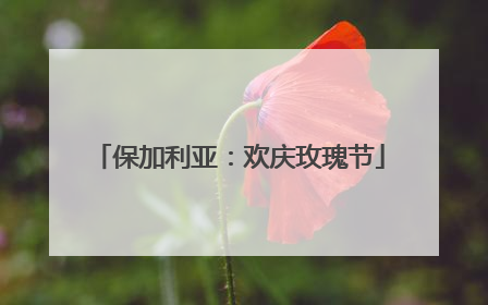 保加利亚：欢庆玫瑰节