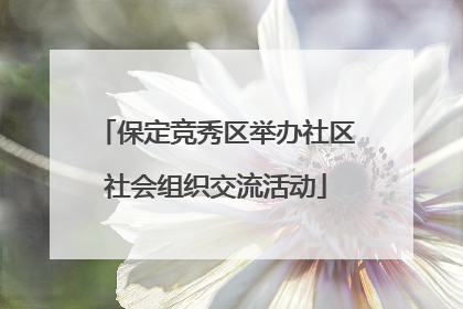 保定竞秀区举办社区社会组织交流活动