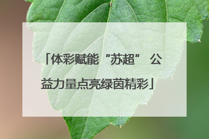 体彩赋能“苏超” 公益力量点亮绿茵精彩