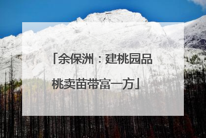 余保洲：建桃园品桃卖苗带富一方