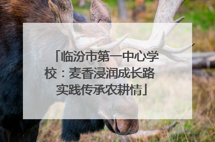 临汾市第一中心学校：麦香浸润成长路 实践传承农耕情