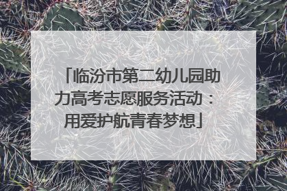 临汾市第二幼儿园助力高考志愿服务活动：用爱护航青春梦想