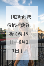 临沂商城价格指数分析（6月5日—6月11日）