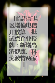 临港新片区增值电信开放第二批试点企业授牌：新增高济健康、科戈波特两家