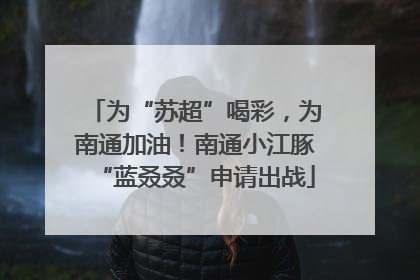 为“苏超”喝彩，为南通加油！南通小江豚“蓝叒叒”申请出战