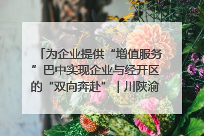 为企业提供“增值服务”巴中实现企业与经开区的“双向奔赴”｜川陕渝网络名人巴中行