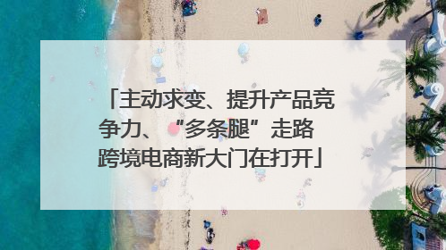 主动求变、提升产品竞争力、“多条腿”走路 跨境电商新大门在打开