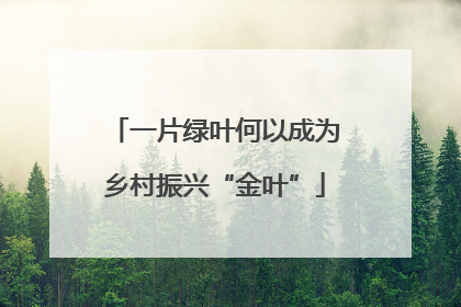 一片绿叶何以成为乡村振兴“金叶”