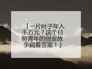 一片叶子年入千万元？这个日照青年的创业故事藏着答案！