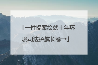 一件提案绘就十年环境司法护航长卷→
