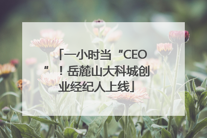 一小时当“CEO”！岳麓山大科城创业经纪人上线