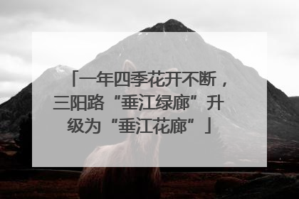 一年四季花开不断，三阳路“垂江绿廊”升级为“垂江花廊”