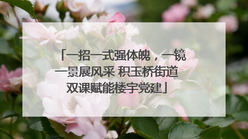 一招一式强体魄，一镜一景展风采 积玉桥街道双课赋能楼宇党建