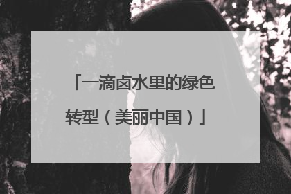 一滴卤水里的绿色转型（美丽中国）
