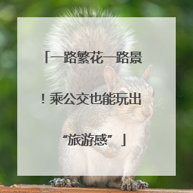 一路繁花一路景！乘公交也能玩出“旅游感”