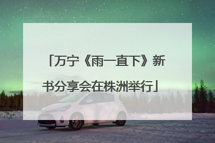 万宁《雨一直下》新书分享会在株洲举行