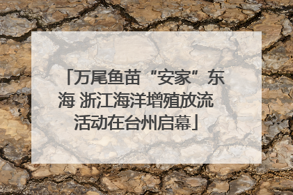 万尾鱼苗“安家”东海 浙江海洋增殖放流活动在台州启幕
